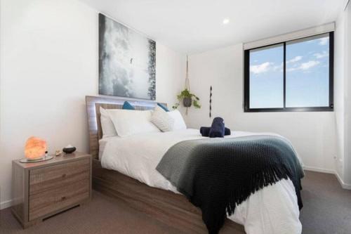 Inner City 1 Bedroom Apartment With Rooftop Pool And Parking - Serain Residences Brisbane Exteriér fotografie